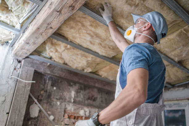 Best Specialty Insulation in Flowing Wells, AZ